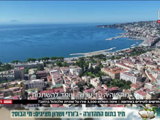 20tarvel_vtr2_n20250824_v1 (צילום: חדשות)