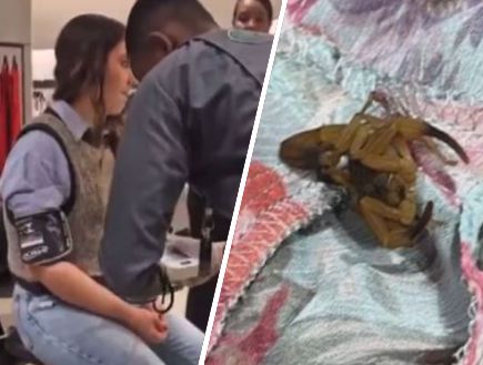 ברזיל: בת 20 נכנסה לסניף זארה – ונעקצה על ידי עקרב
