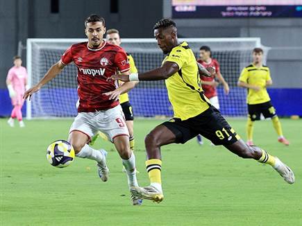 (אלן שיבר) (אלן שיבר)