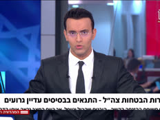 19zahal_vtr2_n20250825_v1 (צילום: חדשות)