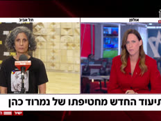 20viki_vtr2_n20250825_v1 (צילום: חדשות)