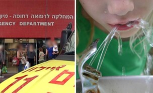 שותה מברזייה (צילום: שאטרסטוק)