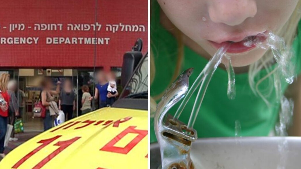 שותה מברזייה שותה מברזייה