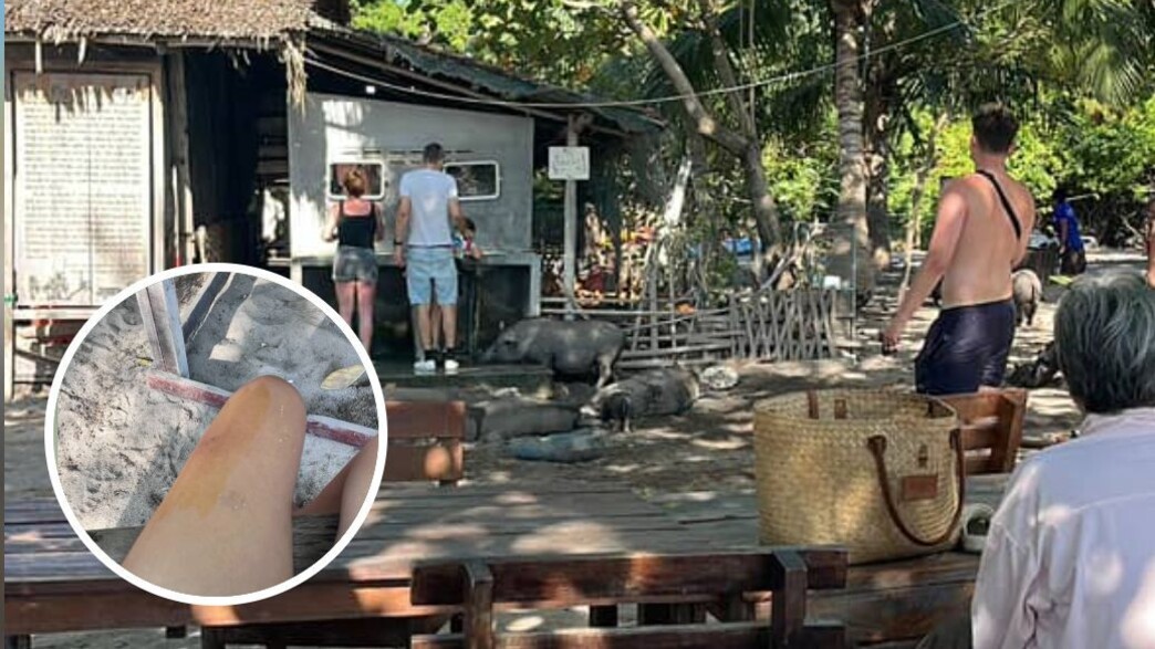 צעירה ישראלית ננשכה ב"אי החזירים"