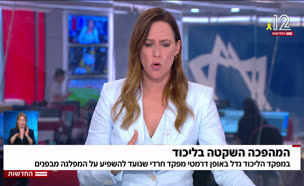 20likud_vtr2_n20250826_v1 (צילום: חדשות)