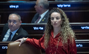 עידית סילמן (צילום: יונתן זינדל, פלאש 90)