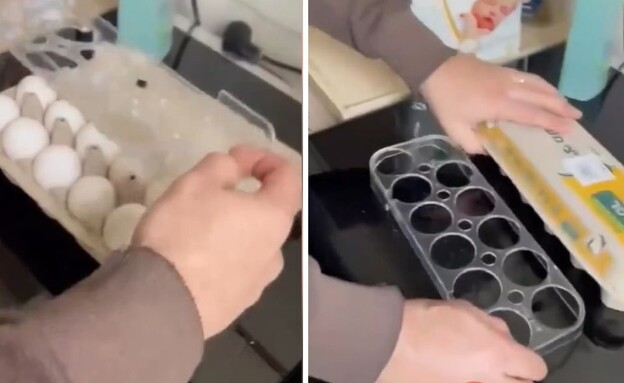 העברת ביצים 