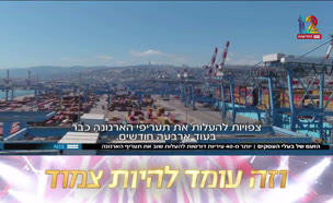 19arnona_vtr2_n20250827_v1 (צילום: חדשות)
