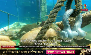 20akmogim_vtr2_n20250827_v1 (צילום: חדשות)