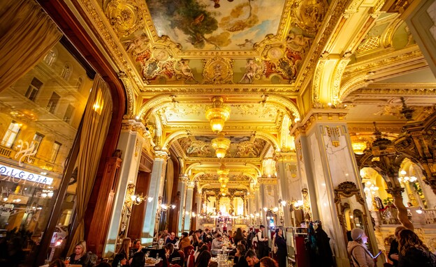 חלל בית קפה ניו יורק בודפשט