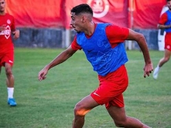 (אתר הפועל תל אביב) (צילום: ספורט 5)