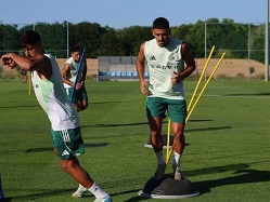 (האתר הרשמי של מכבי חיפה) (צילום: ספורט 5)