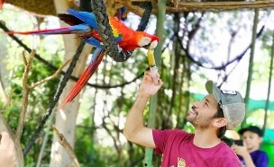 גונגל כיף (צילום:   ErezBit)