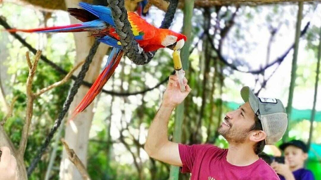 גונגל כיף גונגל כיף