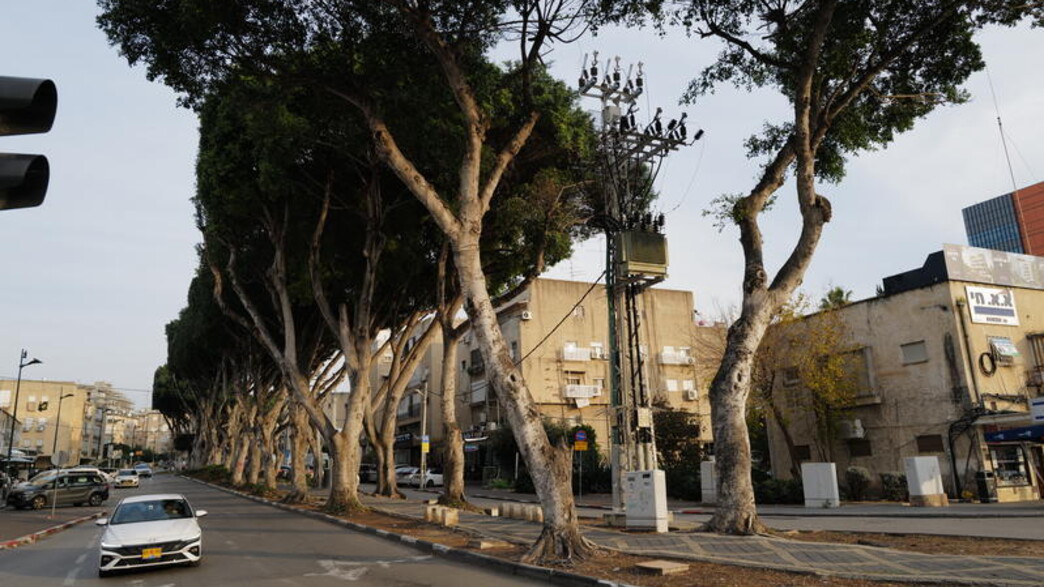 קריית אתא קריית אתא