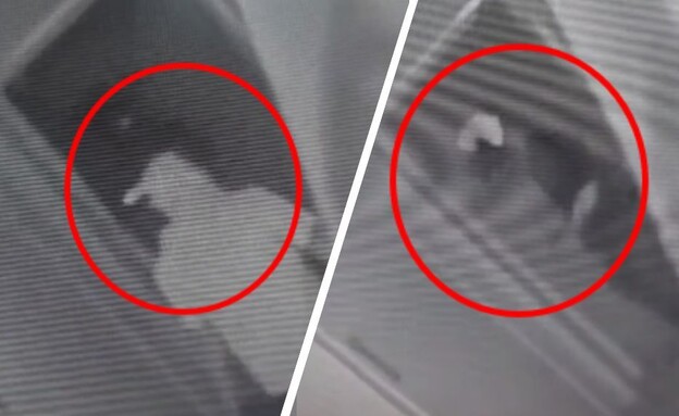 תיעוד הפריצה