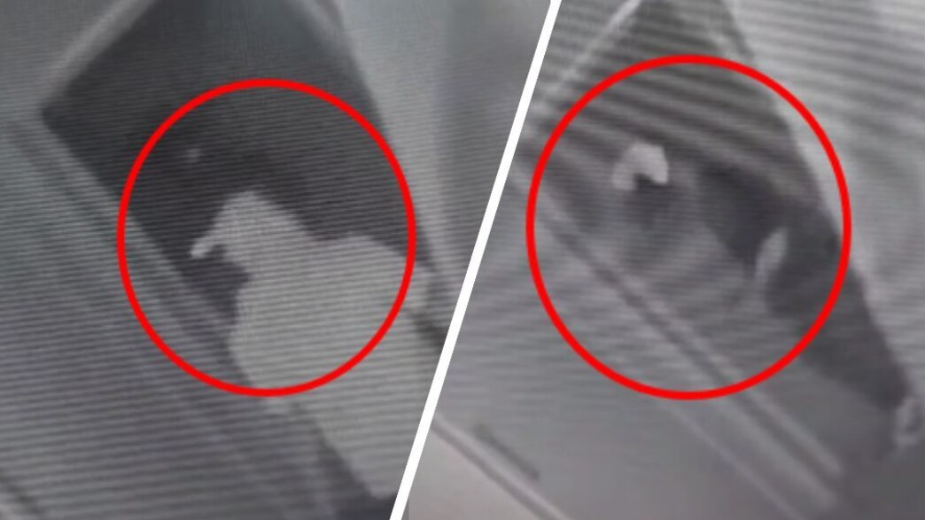 תיעוד הפריצה