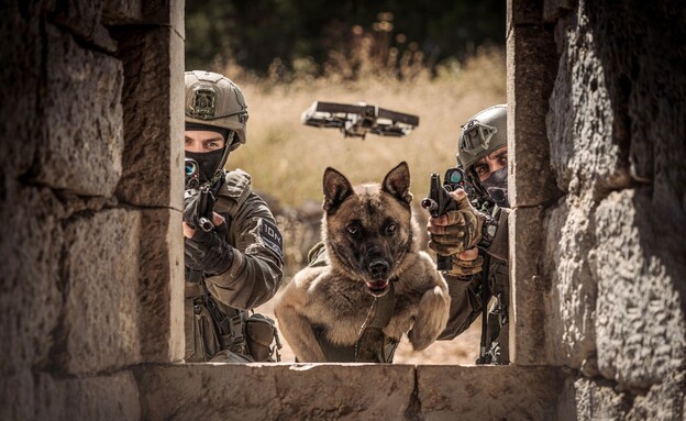 היחידה הרב מימדית