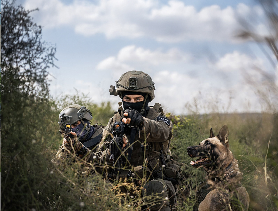 "עקבנו שבועות אחרי מפקד חיזבאללה, טעות קטנה חשפה אותו"