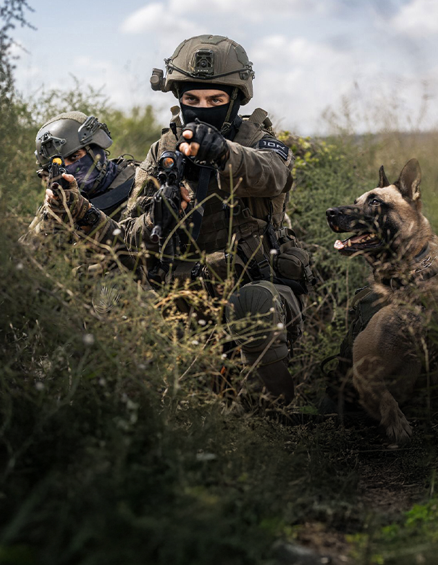 היחידה הרב מימדית