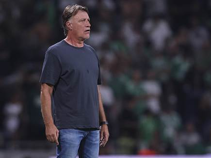 (צילום: מאור אלקסלסי)