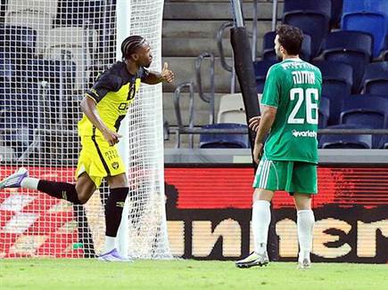 (ברני ארדוב)