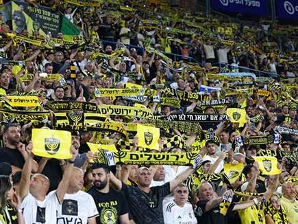 אווירה סוערת בטדי (צילום: דני מרון)