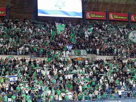 בצהוב ובירוק (צילום: דני מרון)