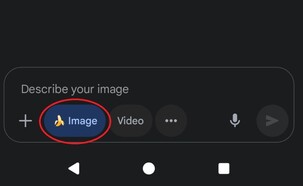 ג'מיני (צילום: gemini)