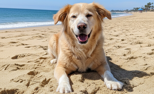 ניסיונות עם ננו בננה ניסיונות עם ננו בננה
