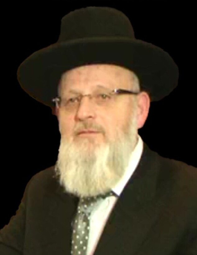 שניאור פרדס (צילום: צילום מסך)