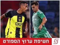 (ברני ארדוב, דני מרון) (צילום: ספורט 5)