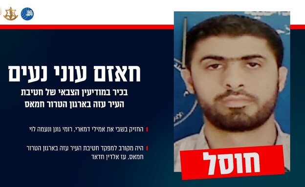 חוסל המחבל שהחזיק בשבי את אמילי דמארי, רומי גונן ונעמה לוי (צילום: דובר צה