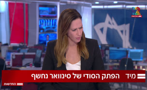 20kibushgaza_vtr2_n20250903_v1 (צילום: חדשות)