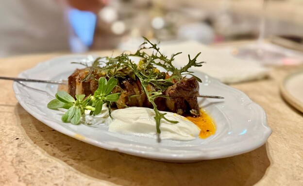 שיפוד דנבר קאט עם צ'ימיצ'ורי ריג'לה, יוגורט וגהי מ שיפוד דנבר קאט עם צ'ימיצ'ורי ריג'לה, יוגורט וגהי מ