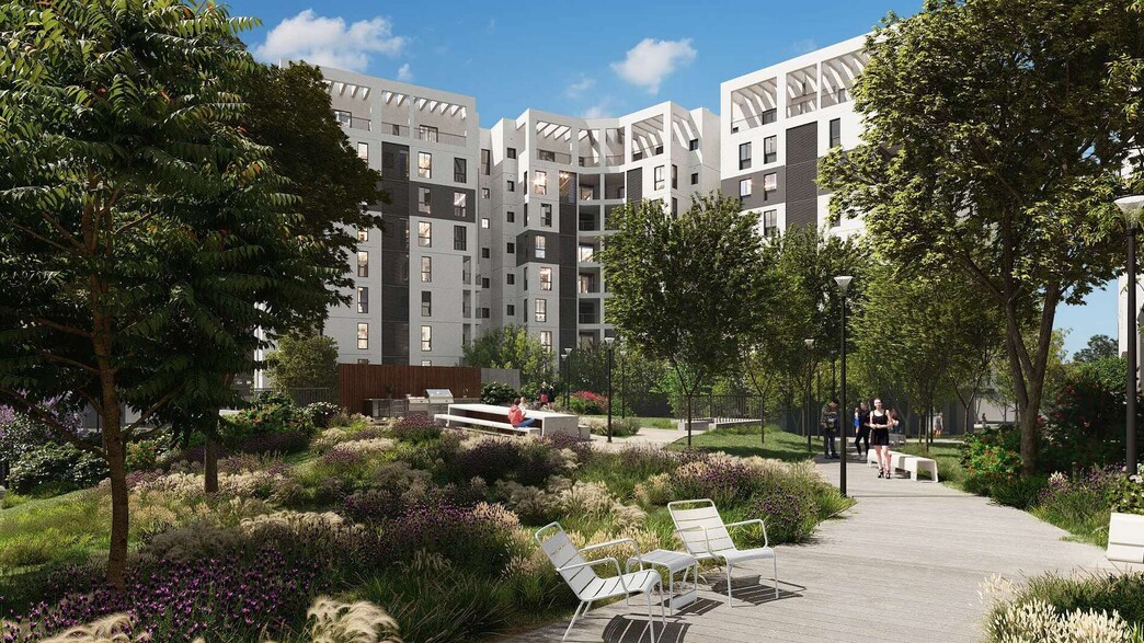 פרוייקט WHITE פלורנטין