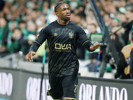 (צילום: אלן שיבר) (צילום: אלן שיבר)