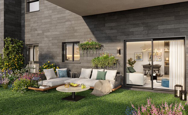 אלמוגים אלמוגים