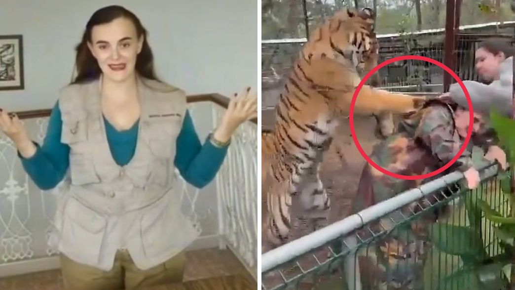 קמינו ריאל דל טיגרה