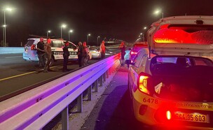אירוע ירי בכביש 2 סמוך למחלף אולגה (צילום: תיעוד מבצעי מד"א)