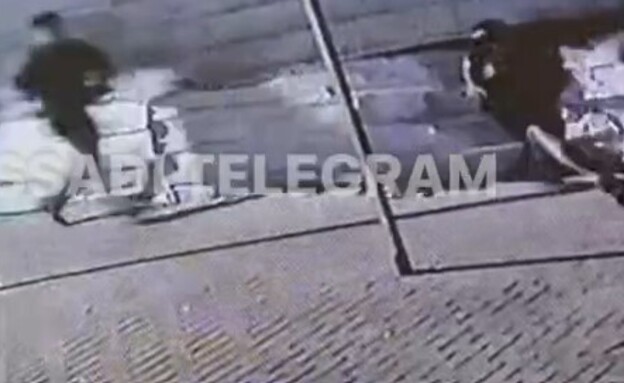 שב"חים נעצרו באשדוד - ונמלטו משוטרים דרך פרצה בגדר (צילום: עמאר אסאדי בטלגרם)