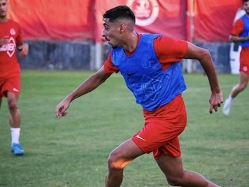 (האתר הרשמי של הפועל ת"א) (צילום: ספורט 5)