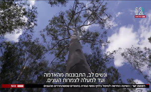 20yaar_vtr2_n20250907_v1 (צילום: חדשות)
