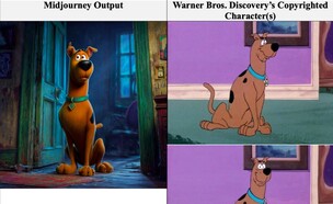 וורנר ברוס דיסקברי תובעת את מידג'רני (צילום: מתוך כתב התביעה)