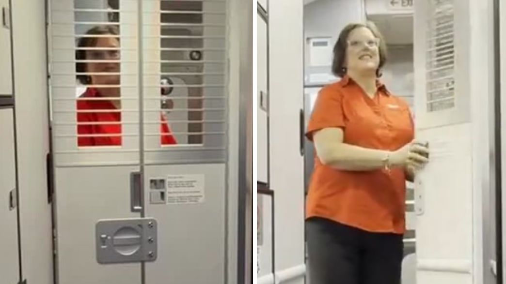 דלת הגנה סאות'ווסט מטוס