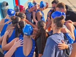 (צילום: איגוד הכדורמים) (צילום: ספורט 5)