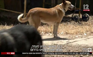 20osim_vtr2_n20250908_v1 (צילום: חדשות)