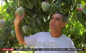 20yezu_vtr2_n20250908_v1 (צילום: חדשות)
