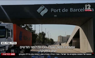 20zunami_vtr2_n20250908_v1 (צילום: חדשות)