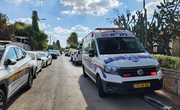 זקא בזירה זקא בזירה